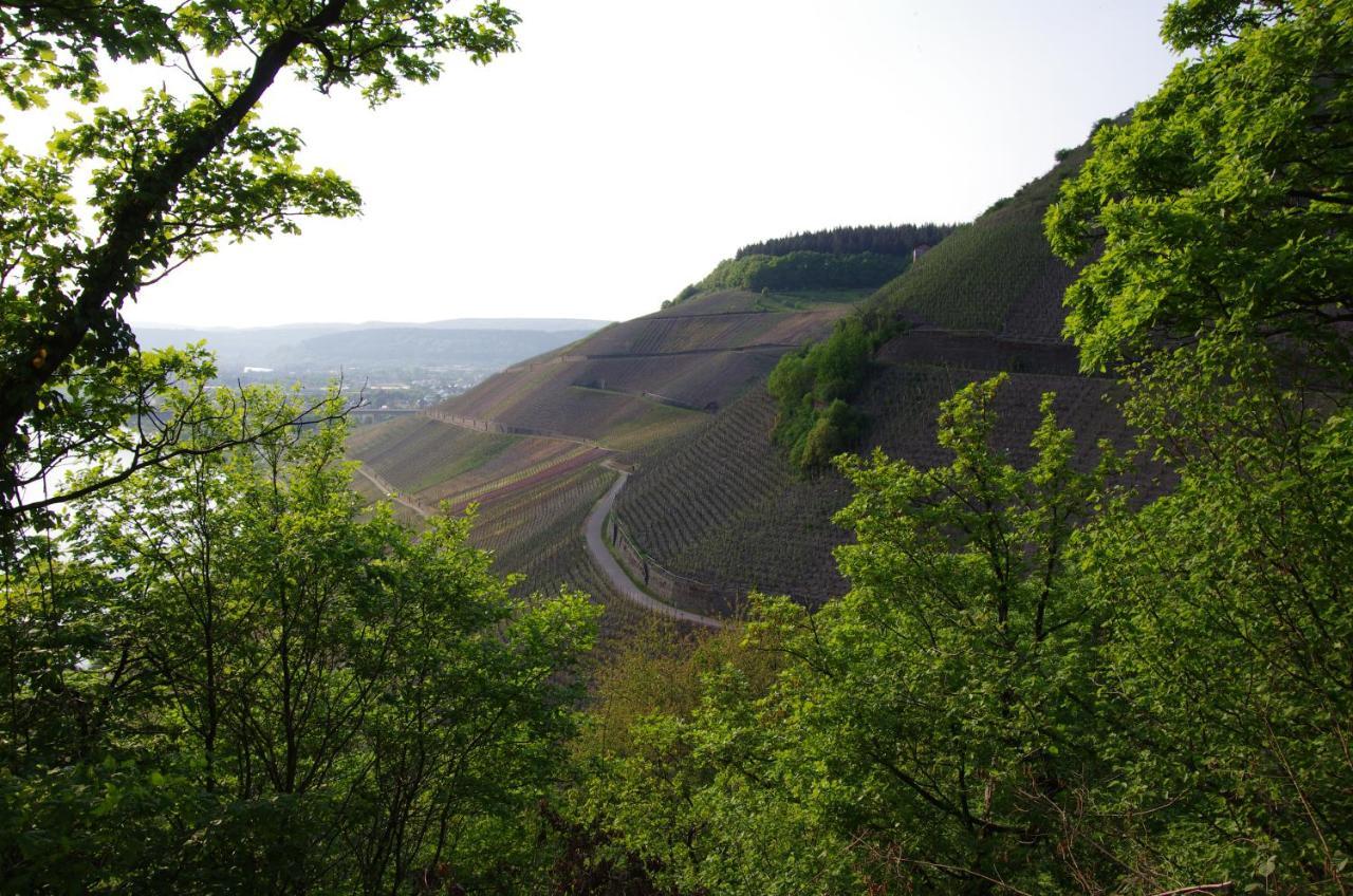 Weingut Weich Hotel Riol Exterior foto